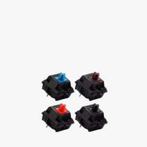 Switch